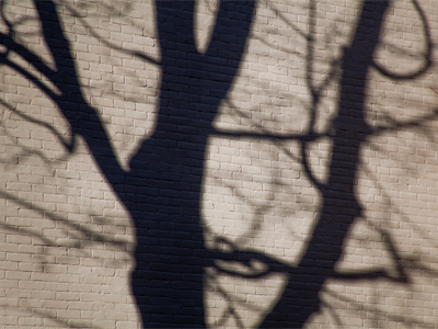 It was a sunny but harmless day.