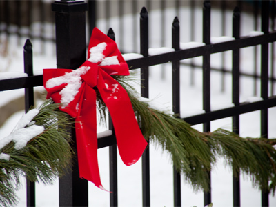 I actually felt ashamed taking this picture, but options were limited on my one quick trip around the block.