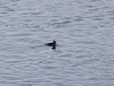 And you think it`s cold where YOU live.