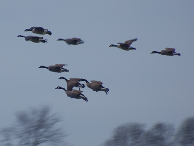 `Woo hoo, water!  This is gonna feel good!`