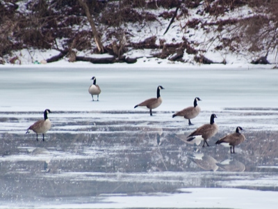 `Well, it looked like water.`