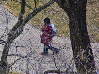 It`s an urban campus, but doesn`t feel like it.