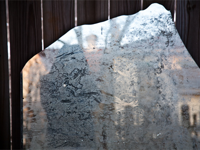 My reflection is in there somewhere.