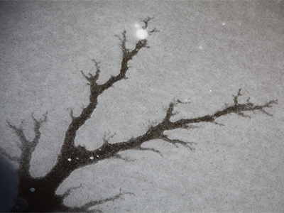 Nature`s warning:  do not skate on the pond.