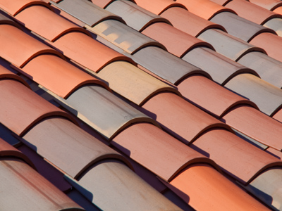 Shingles are so boring.