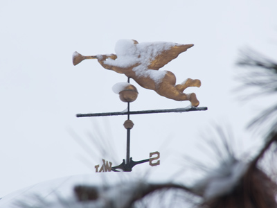 Dude, put on some pants!