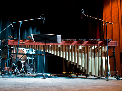 For the life of me, I can`t marimba the name of this instrument.
