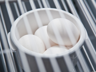 When all else fails, take a picture of eggs (see November 25, 2009, and October 4, 2009).