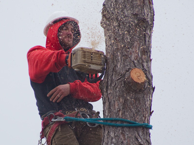 I can`t blame him, but wonder about those who hired him.