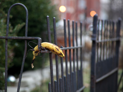 The Banana Bandit has struck again.