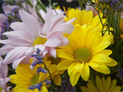 For Jenna:  health and healing.