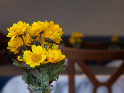 There`s a high pollen count in the dining room.