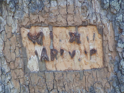 I hope their marriage lasted longer than the proposal (see March 19, 2009).