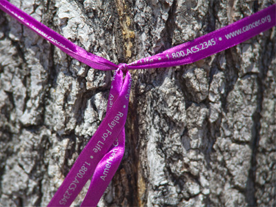 Relay For Life represents the hope that those lost to cancer will never be forgotten, that those who face cancer will be supported, and that one day cancer will be eliminated.