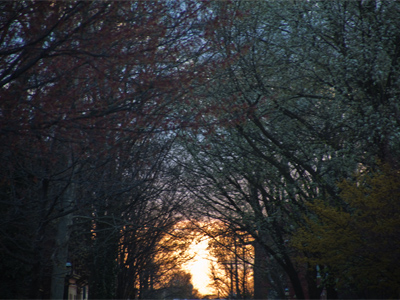 Sunset on Sixth Street.