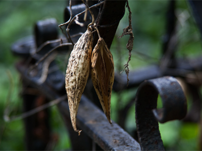 Do my neighbors look out their windows and wonder what I`m doing?