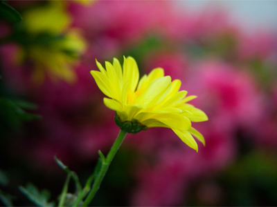 Tricked you -- I was indoors.