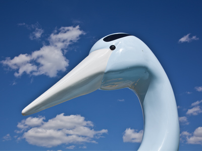 Beak and clouds, part 2.