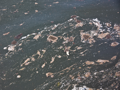 I`m certain there`s someone fishing on this river right now, and they`re going to take their catch home and eat it.