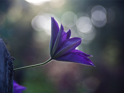 A picture like this taken before 8:00am can give me momentum for the entire day.