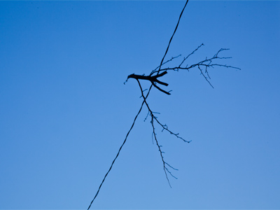 There`s an untold story here.