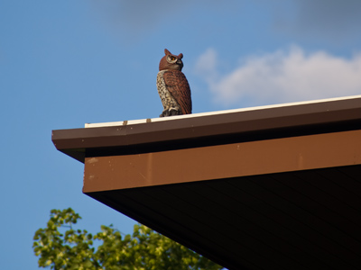 That`s strange . . . it hasn`t moved.