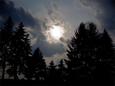 A picture of trees without the clouds and sun would be boring.  Clouds and sun without the trees would be too.