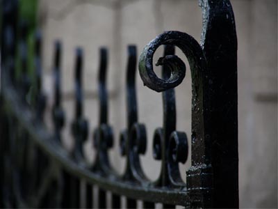 Morning in the cemetery.