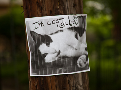 Would anyone put up signs to find me?