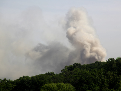Broccoli and mashed potatoes.