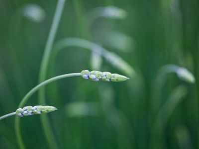 At this point, it started to rain.