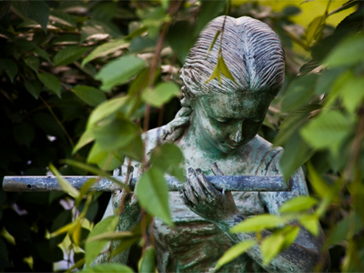 Wind in the willows.