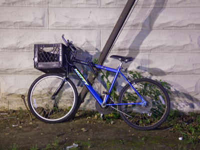 This was taken AFTER the moon picture, thanks to artificial light.