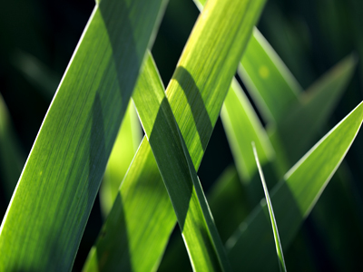 I have only a hazy recollection of why I took this picture.