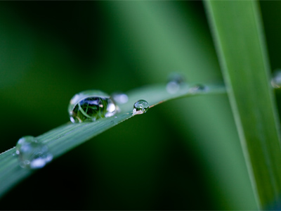 Photography began very early this morning to avoid heat.