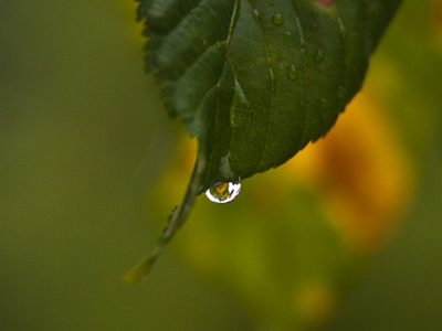 Most.  Precious.  Resource.