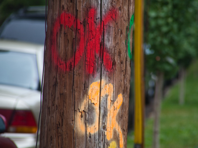 A very agreeable utility pole.