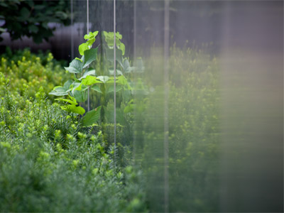 Reality kind of fades out on the right.