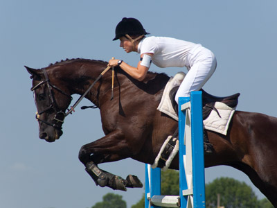 There were more photographers at this event than ever before, but most seemed unaware of the correct way to shoot horse jumping:  the camera must be near the ground.