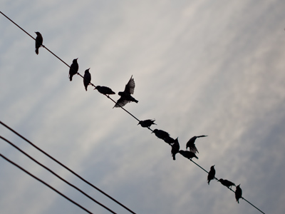 They were constantly dropping little gifts on the sidewalk.