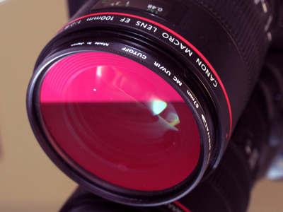 A typical Canon lens has a red stripe around the end and is part of the `L` series.