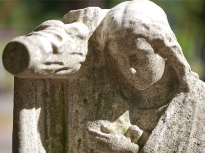 Direct sunlight creates bright highlights and dark shadows on whatever it is you`re photographing.