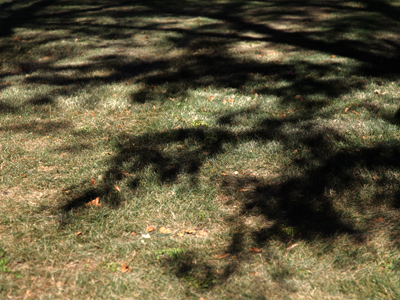 It`s not just the length of the shadows at this time of day, it`s their direction that indicates the approach of winter.