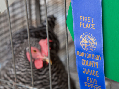 Congratulations to the winners, and may your animals meet their fate with good spirits and good flavor . . . 