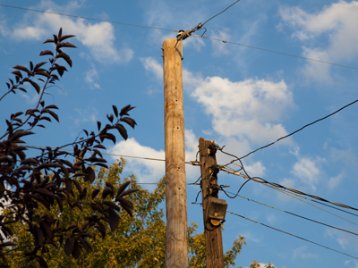 Shiny new, and taller, utility poles have suddenly sprouted.
