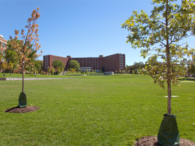 I still regret the tree-slaying of March 2, 2010, but the new central mall has turned out very nicely.