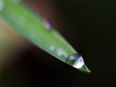 Don`t drop the drop!