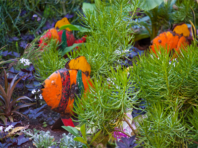 At the bottom of the aquarium.