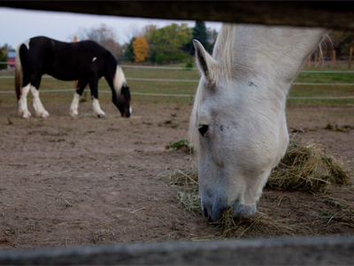 I`m a pretty lazy photographer these days, but I can start shooting at 7:30am if a good photo opportunity arises.