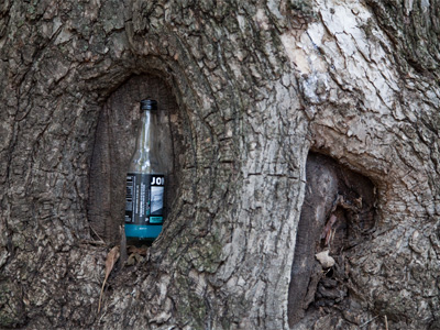 Where Jones Soda comes from.